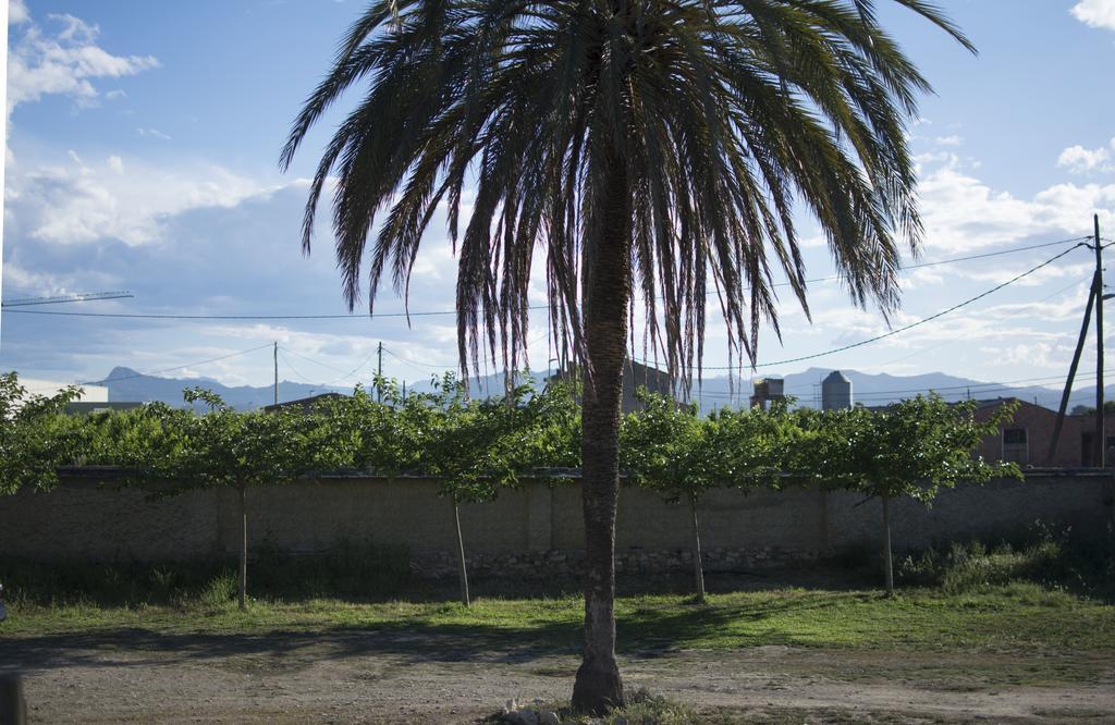 Casa de camp Mas Taniet Rural Benissanet
