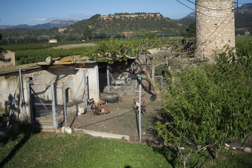 Casa de camp Mas Taniet Rural